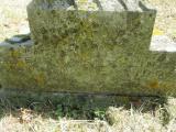 image of grave number 491391